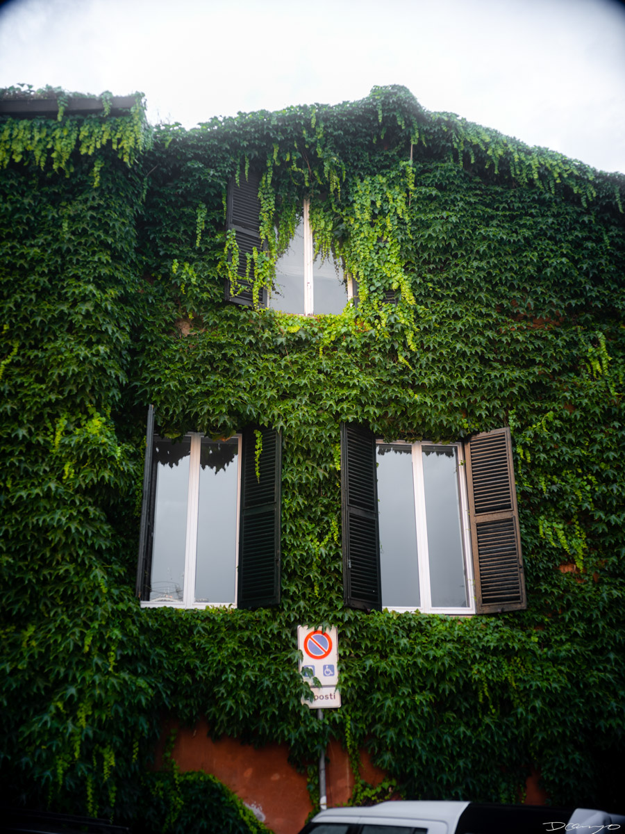 Photos from a trip through Italy in Summer of 2023. Locations include Rome, Florence, Tuscany, Castello di Bossi in Chianti, Siena, San Gimignano, Sirmione on Lake Garda, Bologna, Gudon, Italian Dolomites, Seceda, Cadini di Misurina, and Venice.